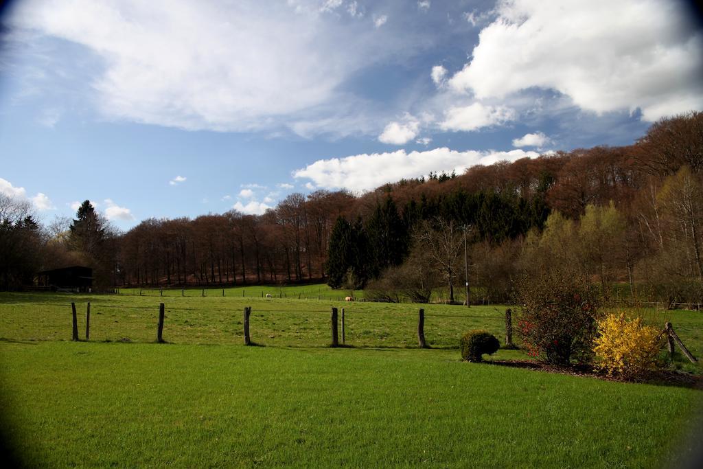 Une Parenthese En Ardenne Nollevaux Habitación foto